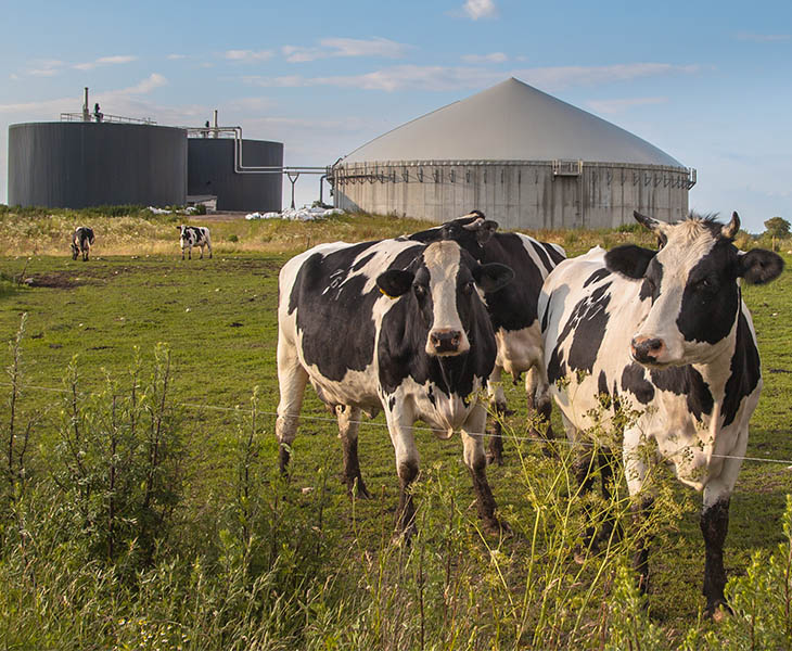 Biomethane production at a farm. We're committed to increasing the volume of biomethane in our network to reduce carbon emissions as we move toward a net zero future.