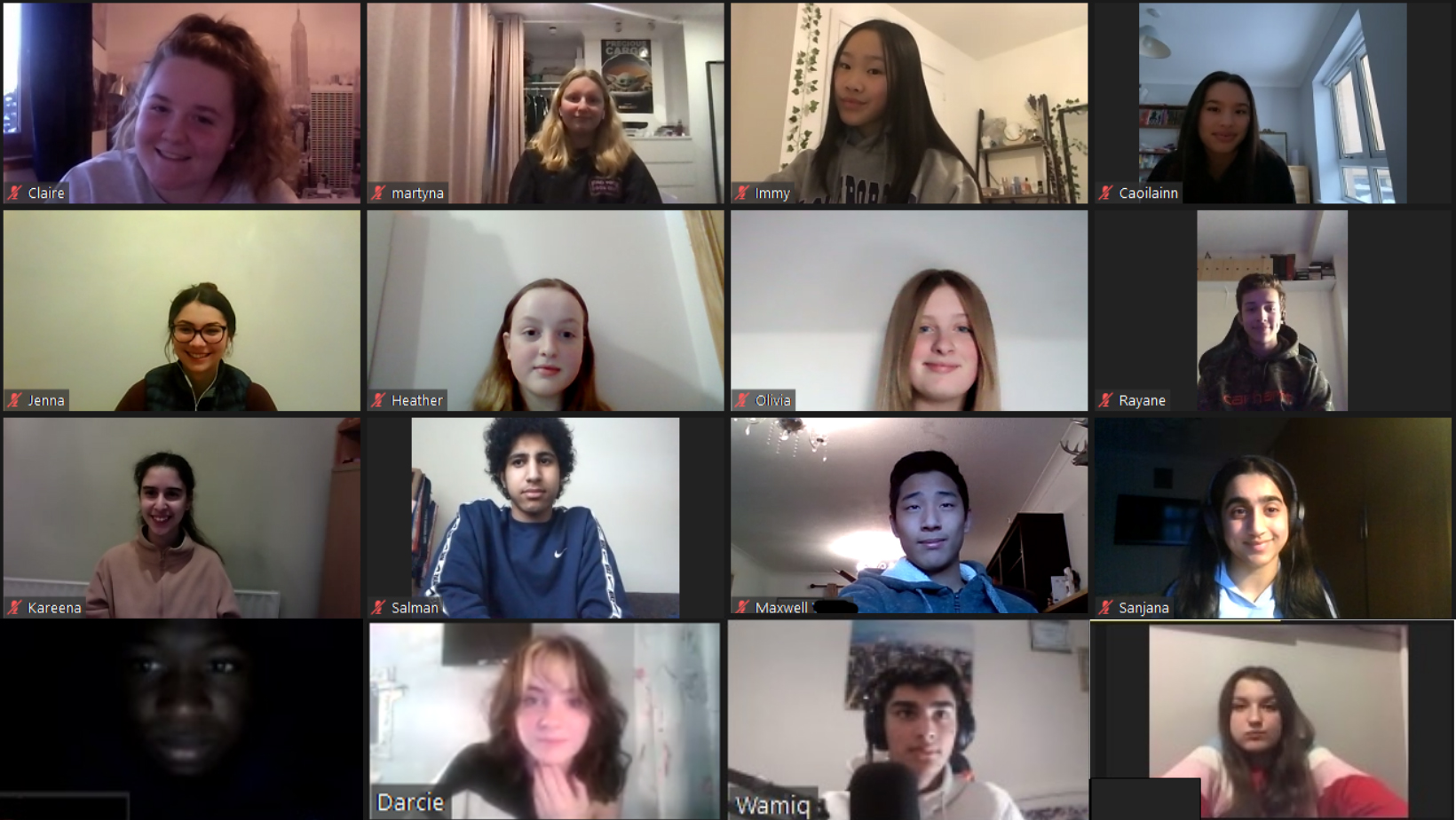 A screengrab of a Zoom call between members of SGN's Future Thinkers Panel.