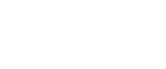 sgn logo