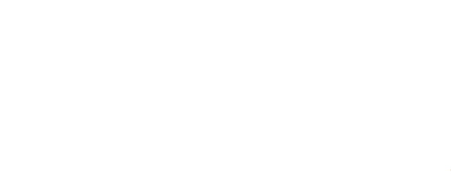 White SGN Logo